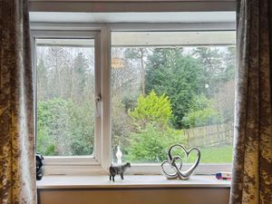 Photo 6- click for photo gallery